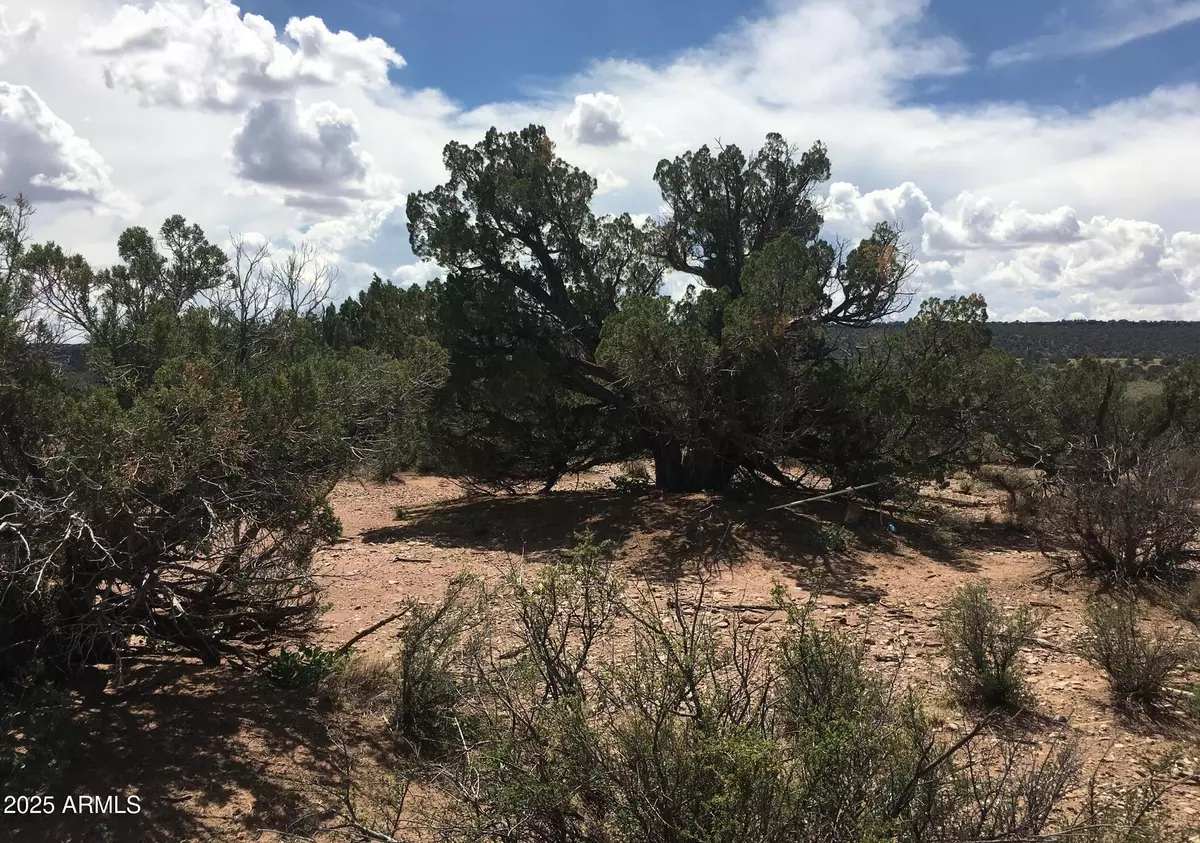 Snowflake, AZ 85937,4266 BUNKHOUSE Road #6