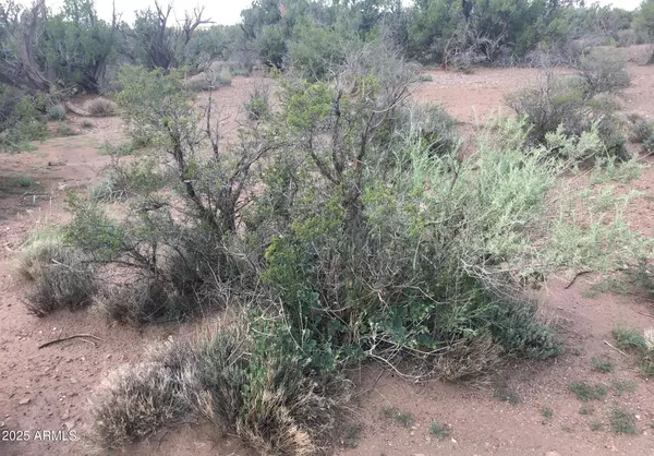 Snowflake, AZ 85937,4266 BUNKHOUSE Road #6