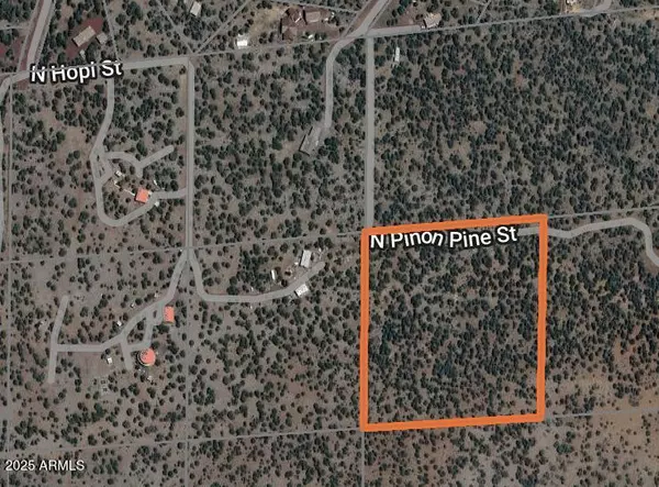 Williams, AZ 86046,6961 N PINION PINE Street #-