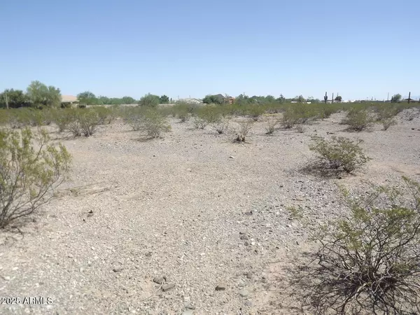 Surprise, AZ 85387,164 W Dixeleta Drive #1