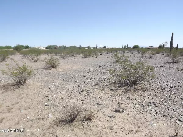 Surprise, AZ 85387,164 W Dixeleta Drive #1