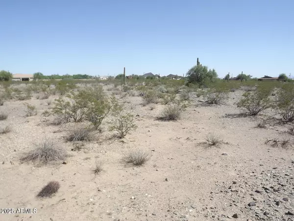 Surprise, AZ 85387,164 W Dixeleta Drive #1