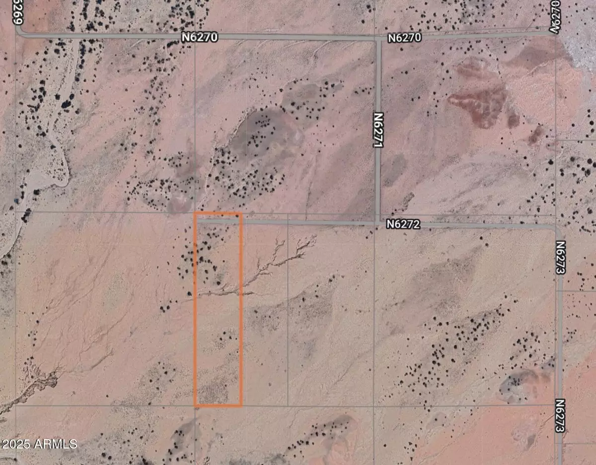 St Johns, AZ 85936,Woodland Valley Ranch #55A