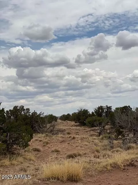 St Johns, AZ 85936,6286 N 6286 -- #204-60-301