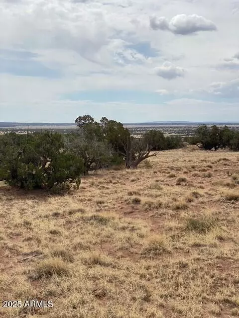 St Johns, AZ 85936,6286 N 6286 -- #204-60-301