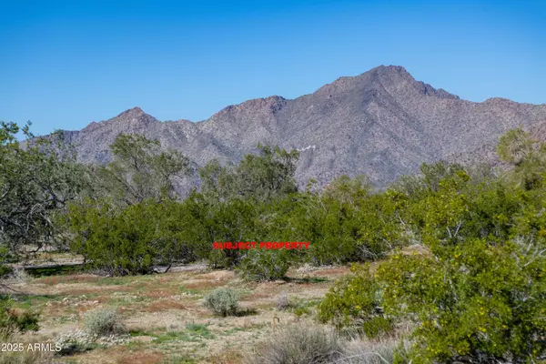 Buckeye, AZ 85396,2 E Ocotillo (No Address) Road #-