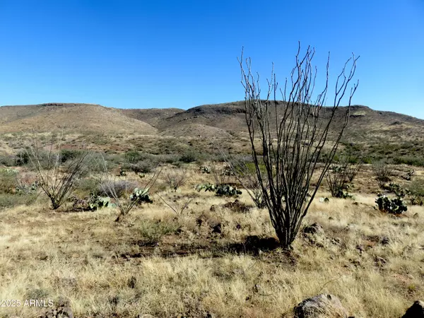 Douglas, AZ 85607,E Walnut Springs Road #47