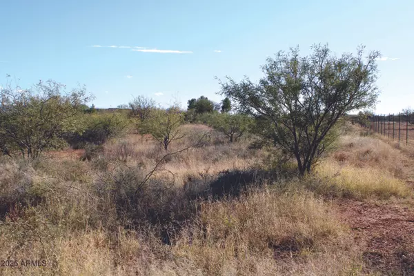 Hereford, AZ 85615,10300 E Vista Monanas Road #4