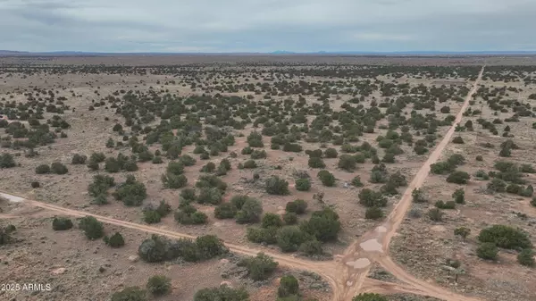 Williams, AZ 86046,3946 E HIGHGROVE Road #226