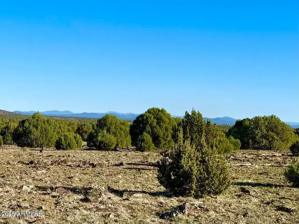 Show Low, AZ 85901,Mustang Ln Lots F & H 5.5 Acre -- #-