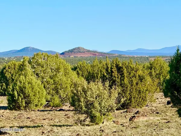 Show Low, AZ 85901,Mustang Ln Lots F & H 5.5 Acre -- #-