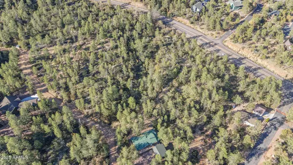 Pine, AZ 85544,4 N Pine Hollow Trail #4