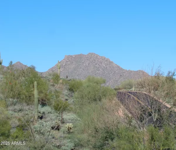 Fountain Hills, AZ 85268,14248 E GREY OWL Trail #166