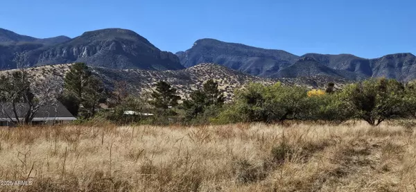 Hereford, AZ 85615,S Omega Place #20