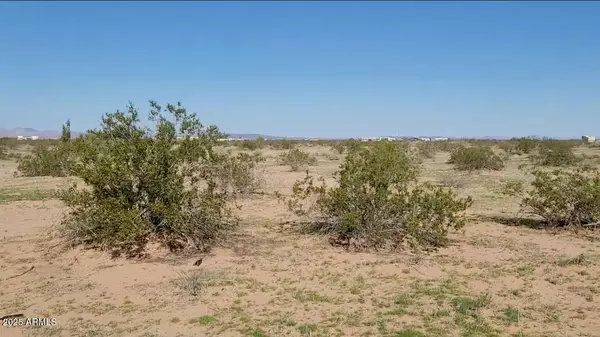 Dateland, AZ 85333,1 Tamarisk Road #328