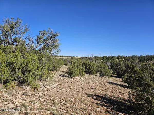 Heber, AZ 85928,Chevelon Acres -- #-