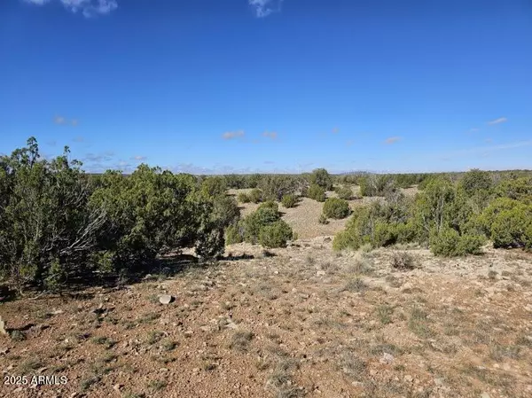 Heber, AZ 85928,Chevelon Acres -- #-