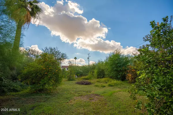 Phoenix, AZ 85006,1717 E OAK Street