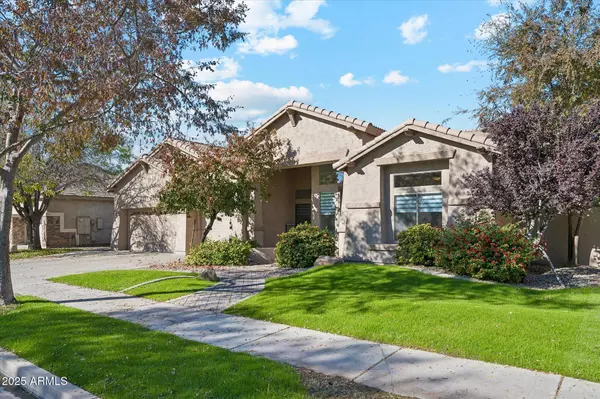 Chandler, AZ 85286,362 W MACAW Drive