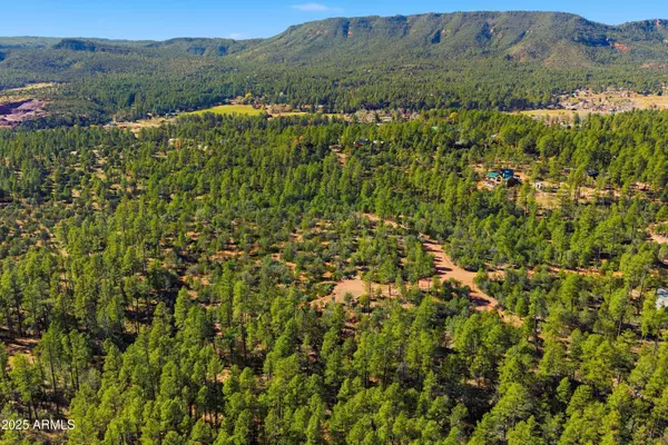 Pine, AZ 85544,0 FAWN Drive #-