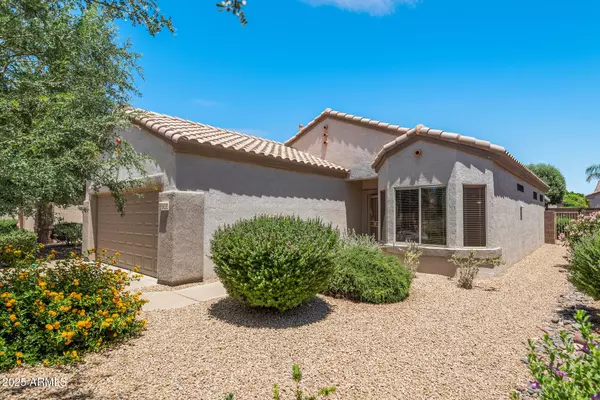 16232 W MONTOYA Drive, Surprise, AZ 85374