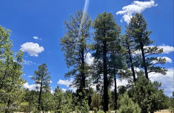 4453 NAVAJO Drive #358, Happy Jack, AZ 86024