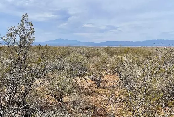 Douglas, AZ 85607,E Cll Principal -- #258