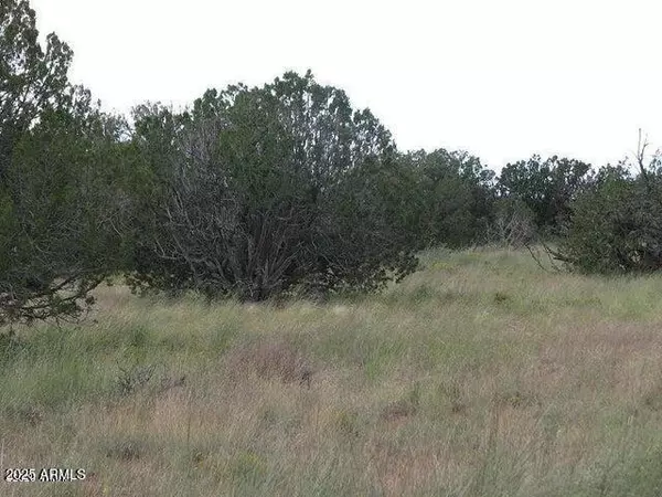 Heber, AZ 85928,29 T14N, R17E: parcel 6 -- #'''-'''