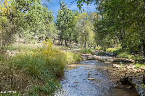 Young, AZ 85554,259 W FOREST SERVICE 249 Road