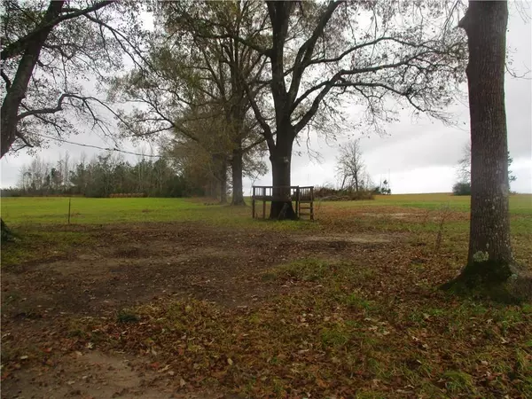 Atlanta, LA 71404,166 Mitchell RD