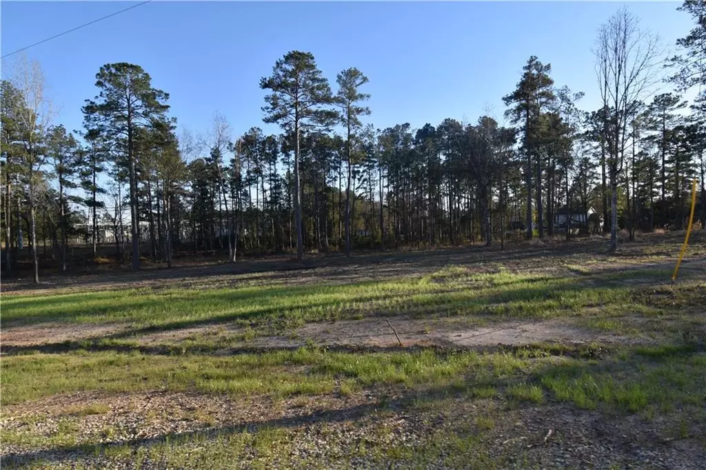 Dry Prong, LA 71423,0 Sophie LN #Lot 40