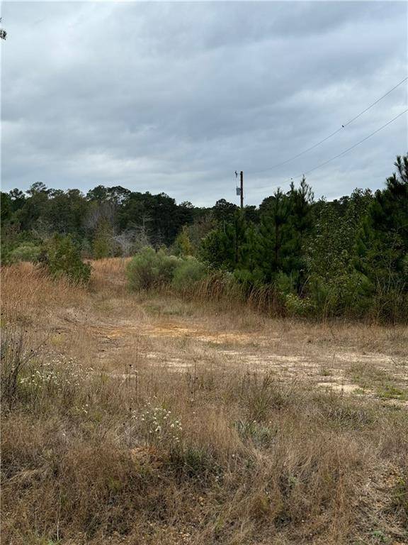 Pollock, LA 71467,0 DUG LECKIE RD