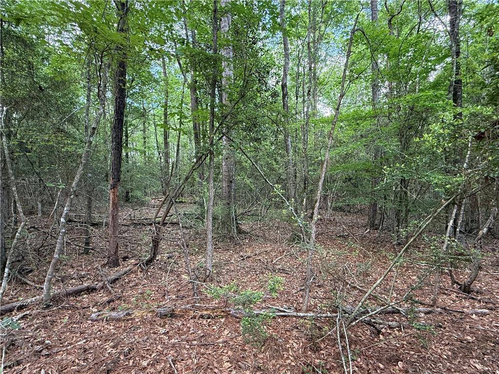 Hornbeck, LA 71439,TBD GUM SPRINGS LOOP