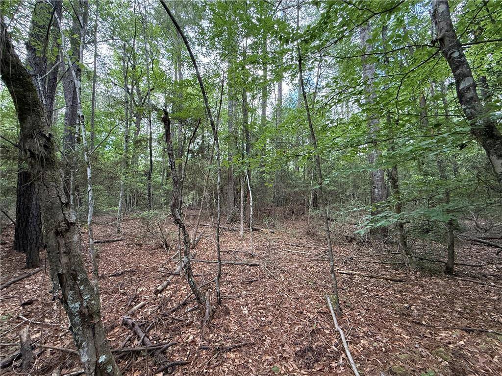 Hornbeck, LA 71439,TBD GUM SPRINGS LOOP