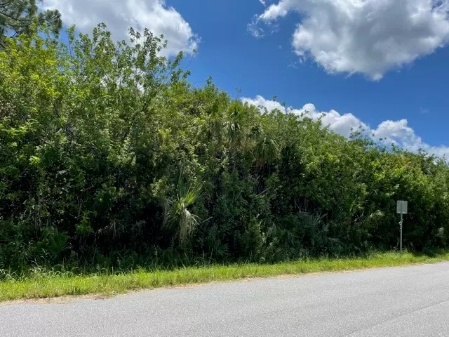TBD Honeysuckle, Micco, FL 32976