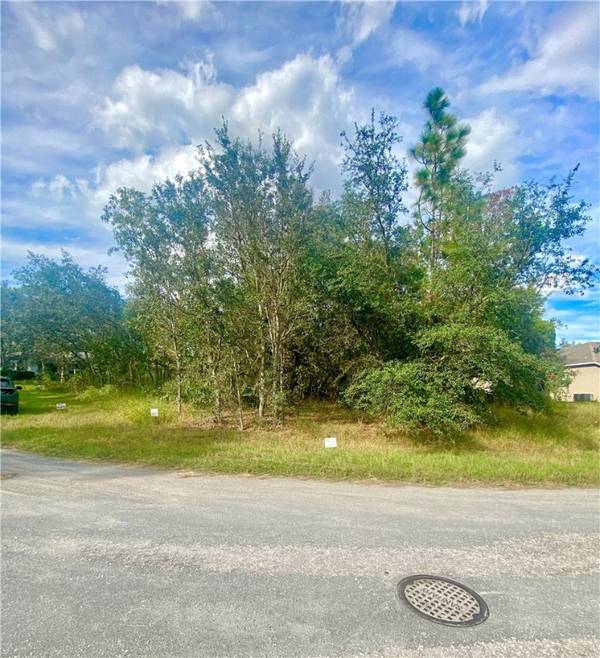 6 Elder CT W, Out Of Area, FL 34446