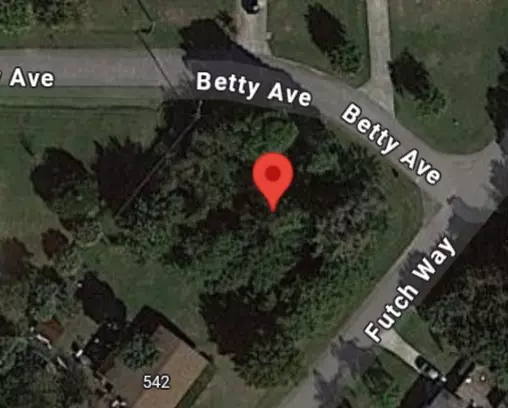 Sebastian, FL 32958,401 Betty AVE