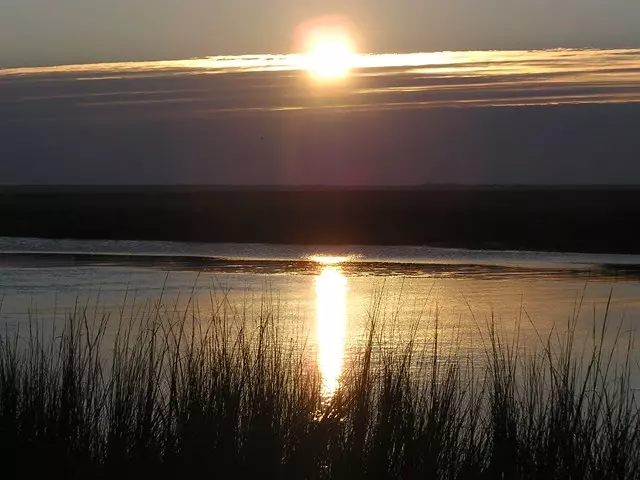Midway, GA 31320,5 Jerico Marsh RD