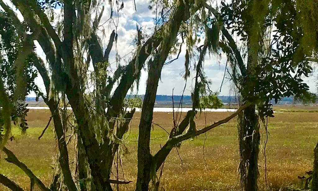 Darien, GA 31305,Lot 4 Fort King George