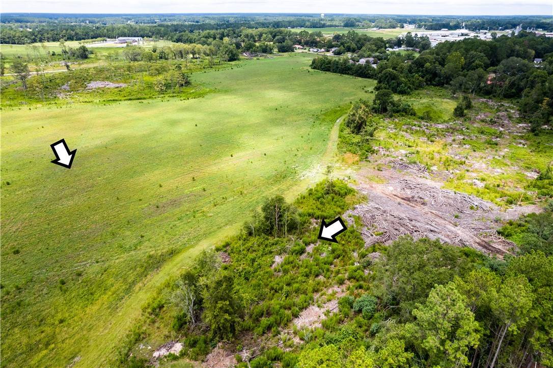 Lot 19 Chestnut RD, Other, GA 31510