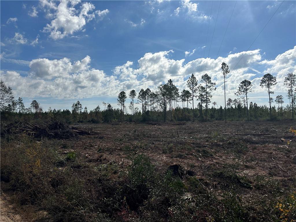 0-Lot 3 TV Tower RD, Waycross, GA 31552