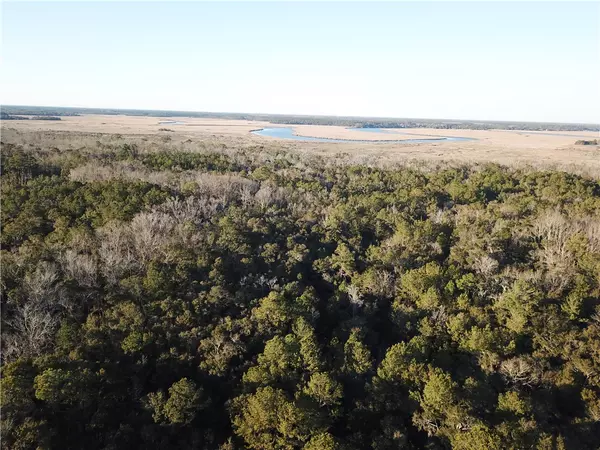 Townsend, GA 31331,0 Hwy 99