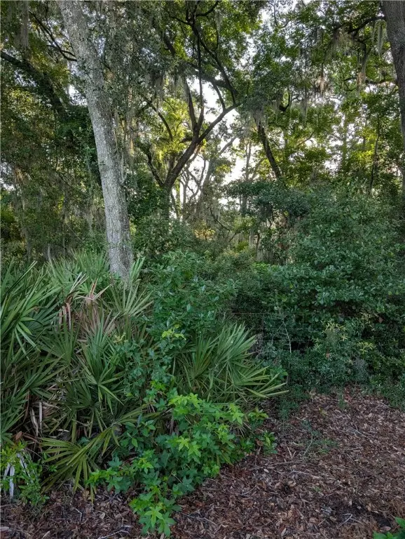 St Simons Island, GA 31522,1350 Lawrence RD