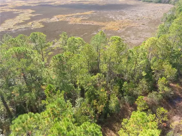 White Oak, GA 31568,0 Confederate Point DR