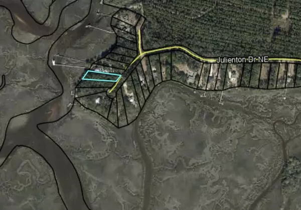 Townsend, GA 31331,Lot 163 Julienton DR NE