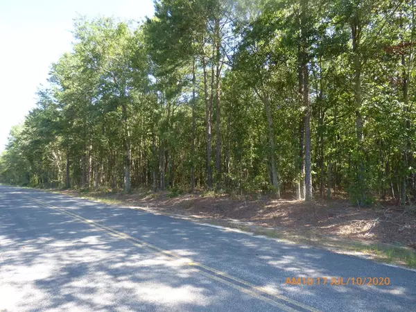 Old Shoals Road, Monetta, SC 29105