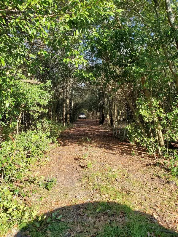 Mt Pleasant Road, Monetta, SC 29105