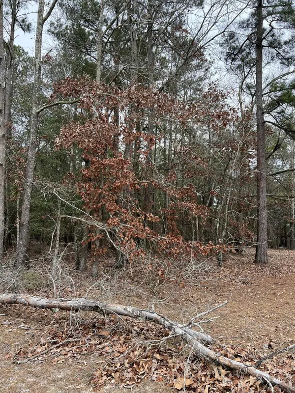 Jackson, SC 29831,0 Green Pond Road