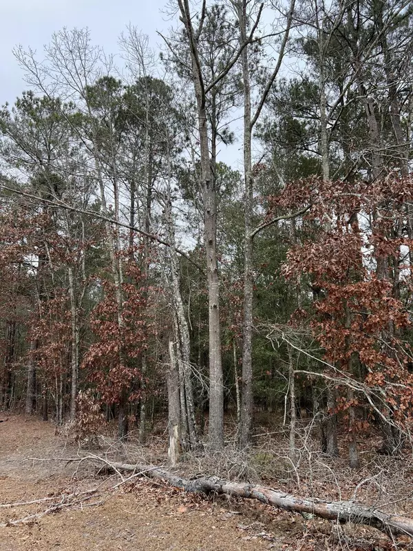 Jackson, SC 29831,0 Green Pond Road