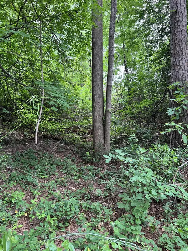West Columbia, SC 29170,0 Lyndale Drive #Lot 3